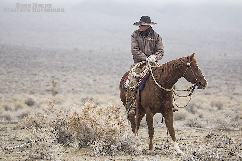 Nevada cowboy riding horse through brush in dreary weather
