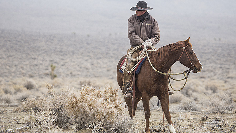 Nevada cowboy horseback in dreary weather