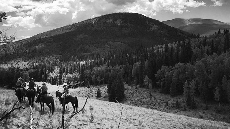 people riding horses on a backcountry trail