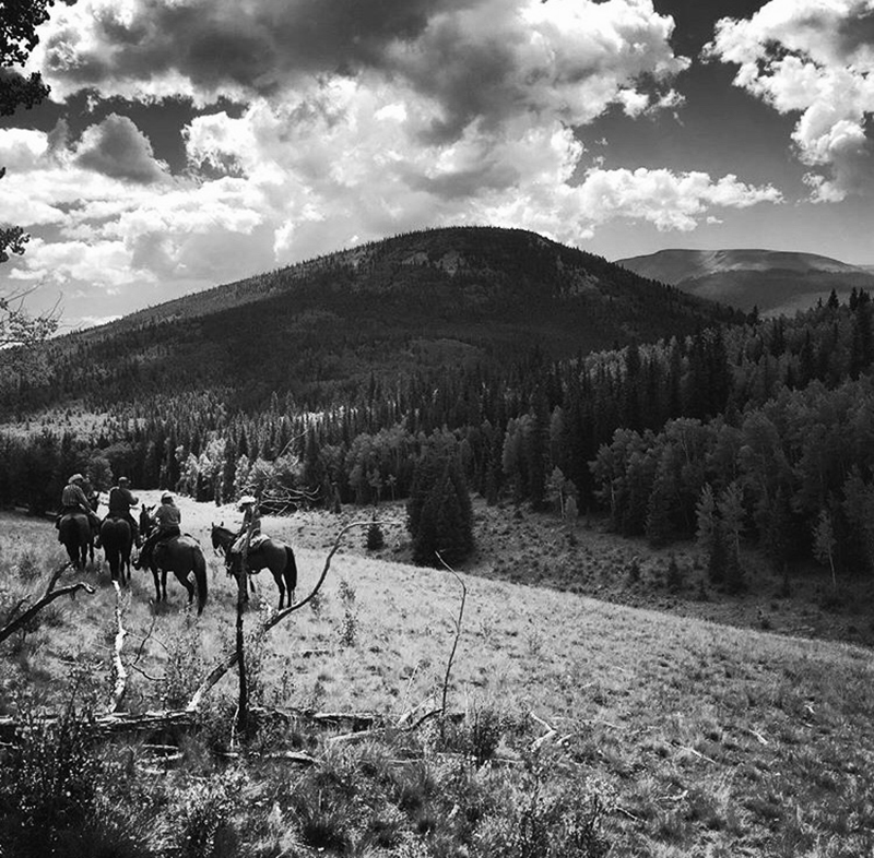 people riding horses through the mountains