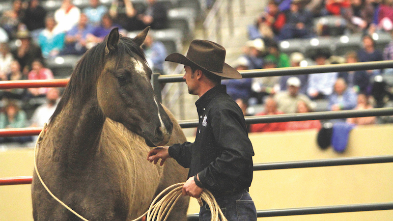 Jim Anderson petting horse's nose at Road to the Horse