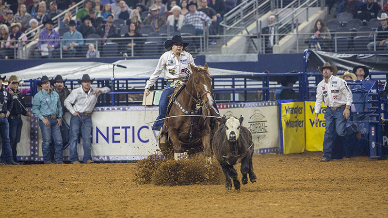 breakaway roping at The American