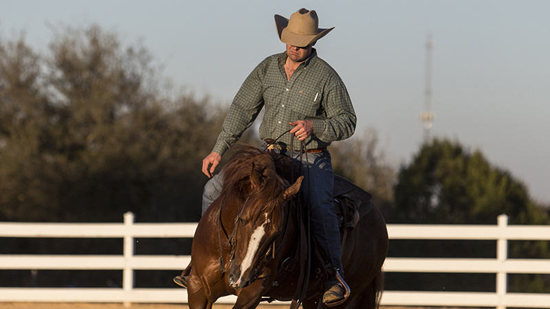correct way to neck rein a horse to the left