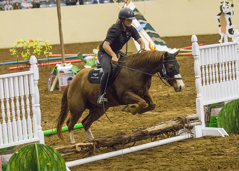 Vicki Wilson and her colt Six Limits jump over an obstacle on the final day of the competition. 