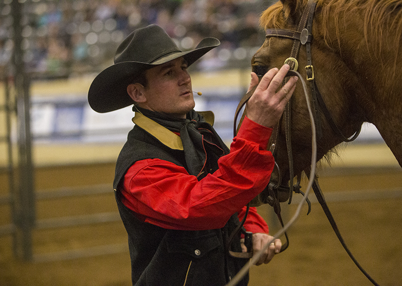 Wade Black puts headstall on Four Sixes colt