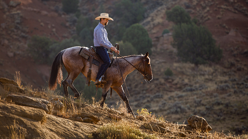Zeph Schulz trainer rides horse outside