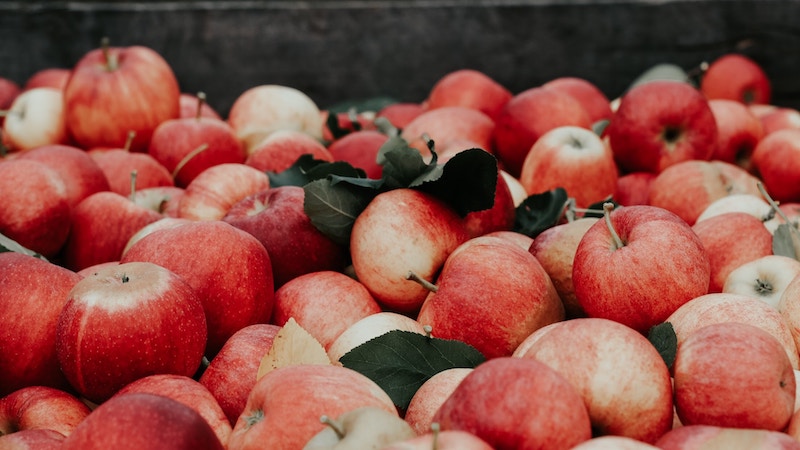 cart of apples in relation to horse health