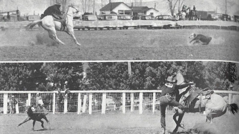 calf roping shots from 1941