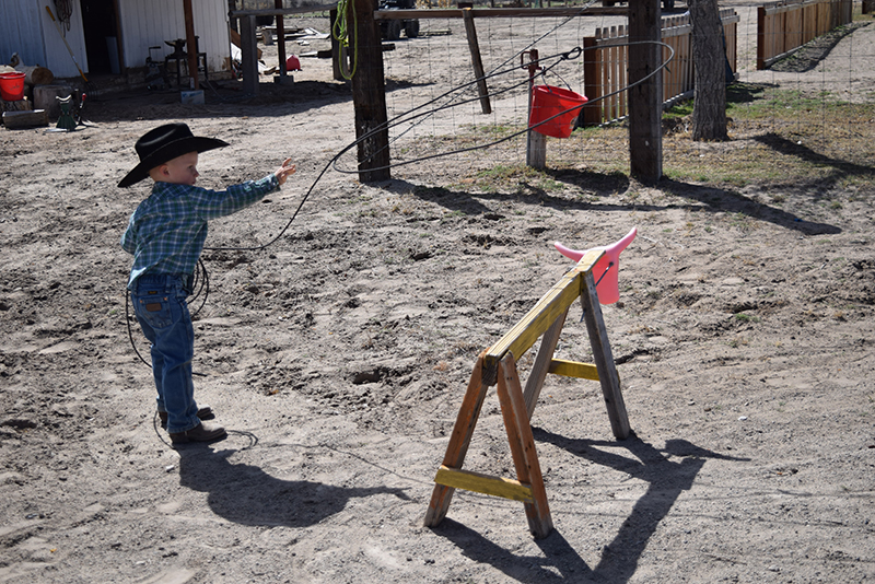 little cowboy practices swinging a rope