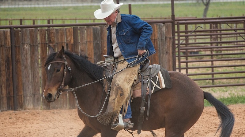 Joe Wolter riding a green horse in an arena preparing it for a branding