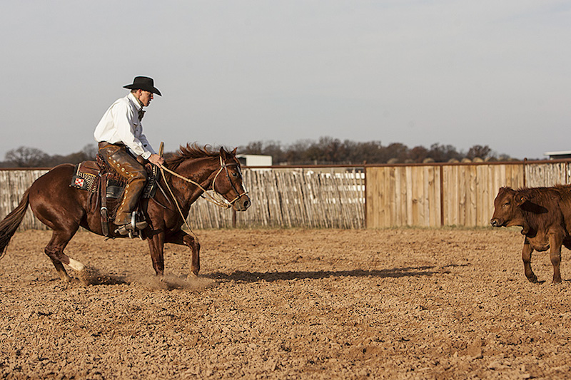 Kory Pounds horse reading a cow and anticipating movement