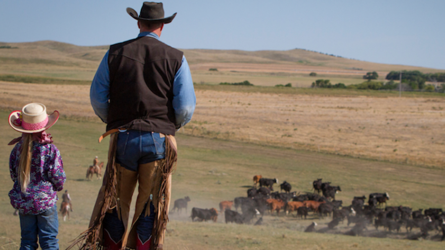 Between branding calves and working bridle horses, the Eng family are raising two cow-savvy, confident and responsible kids.