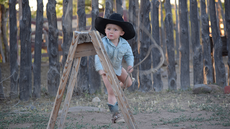 cedar stay fence with kid roper