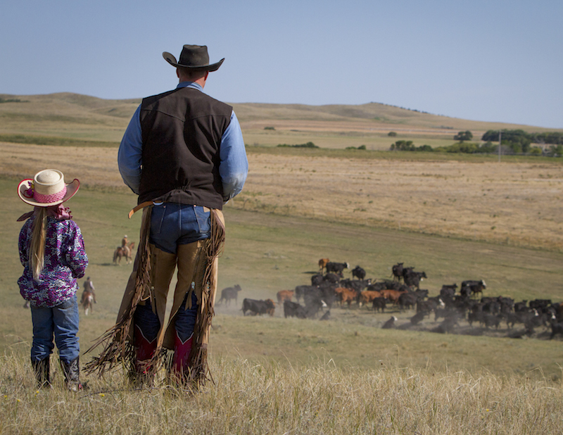 Dale Eng and his daughter standing in pasture looking out over cattle