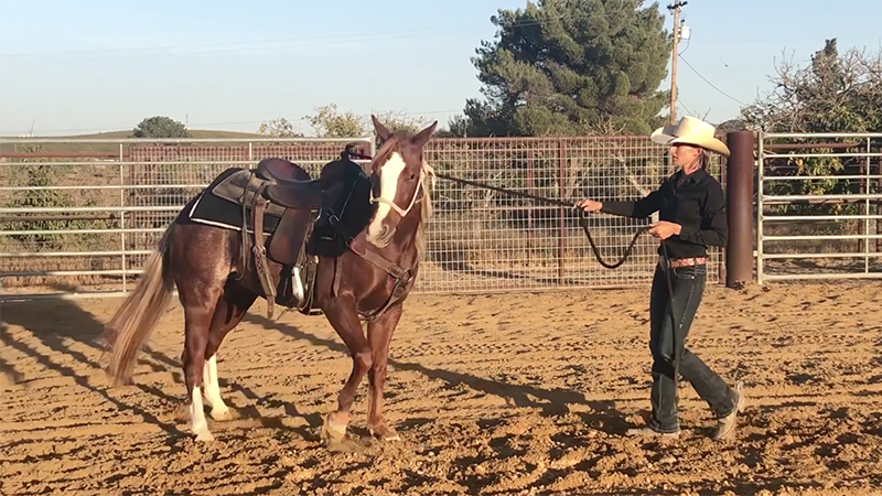 Kelli Neubert does groundwork with a colt