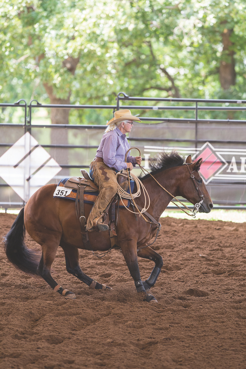 Working cow horse