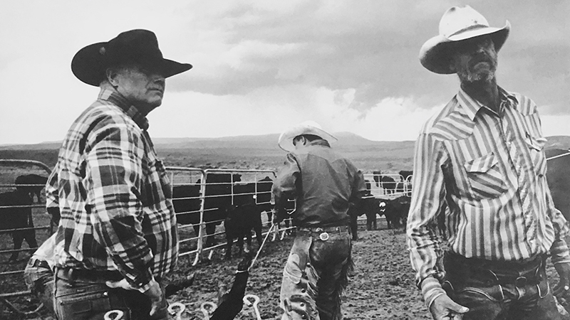 open range book cover