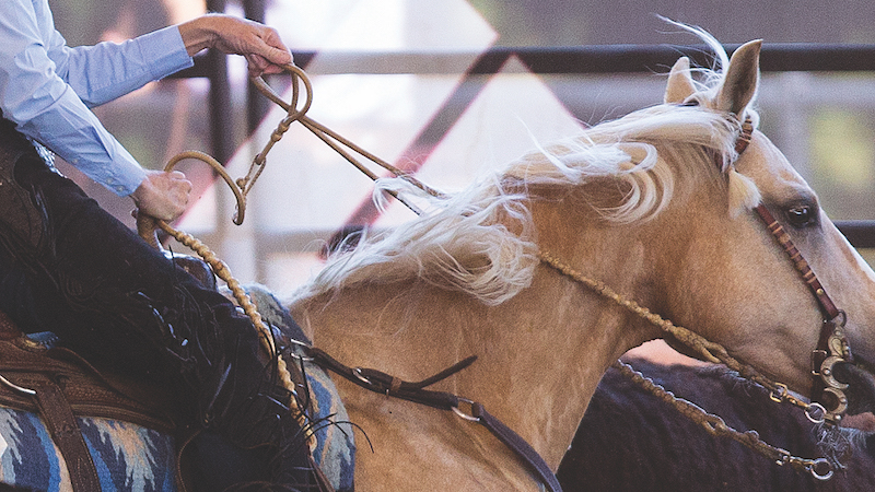 Marilyn Peters demonstrating how to hold romal reins
