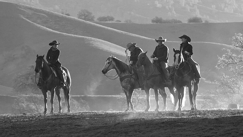 Neubert family on horses 