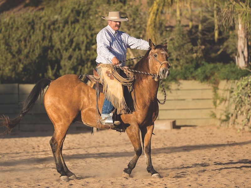 Bruce Sandifer demonstrating why you shouldn't have wide hands when riding in a hackamore