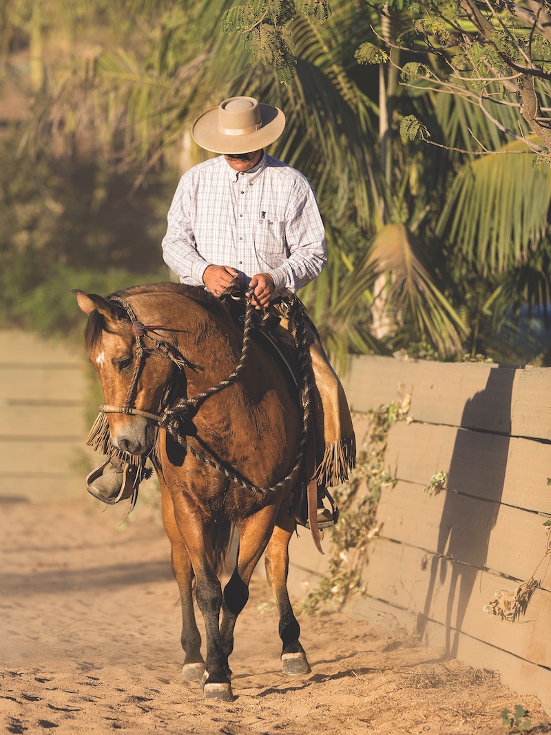 Bruce Sandifer training with a hackamore to get a horse prepared for one-handed signals in the bridle