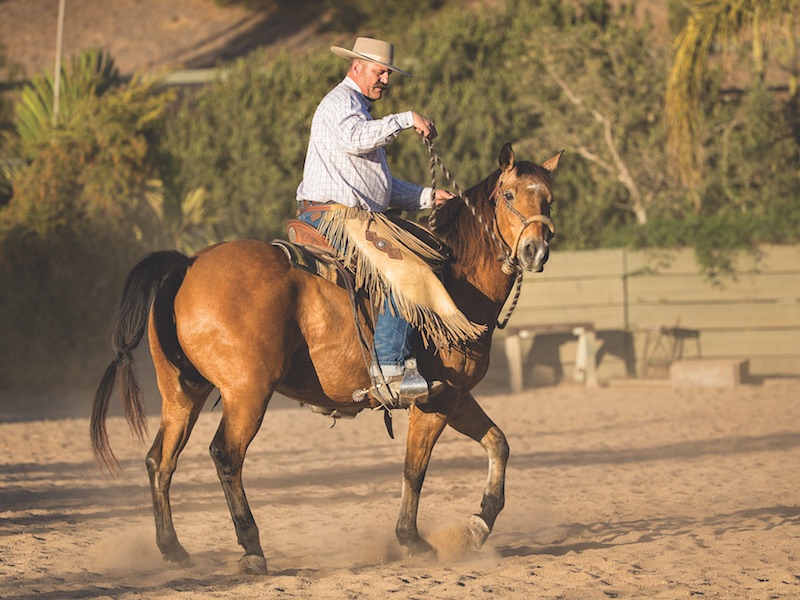Bruce Sandifer demonstrates incorrect hand placement when training with a hackamore