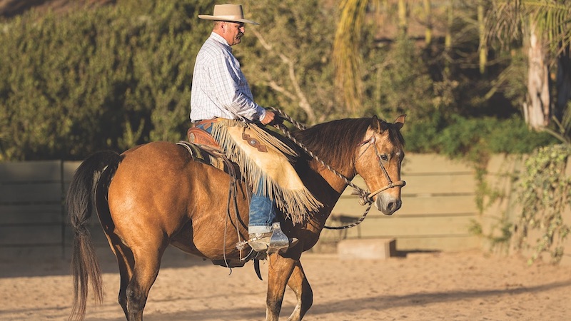 Bruce Sandifer riding a horse demonstrating training with a hackamore
