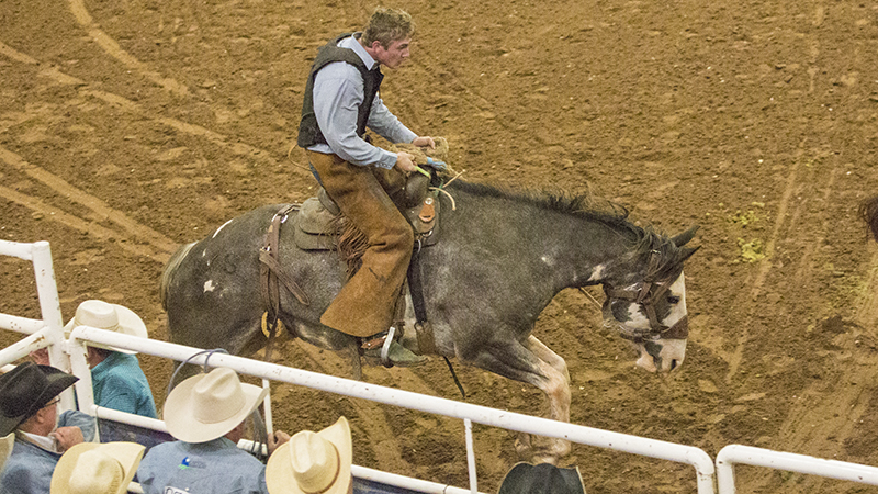 ranch rodeo bronc rider using night latch