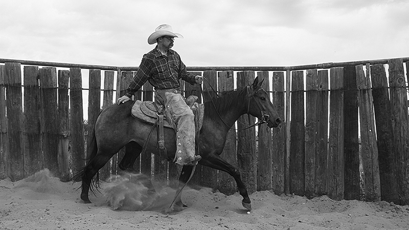 Jeff Williams starts a colt in roundpen