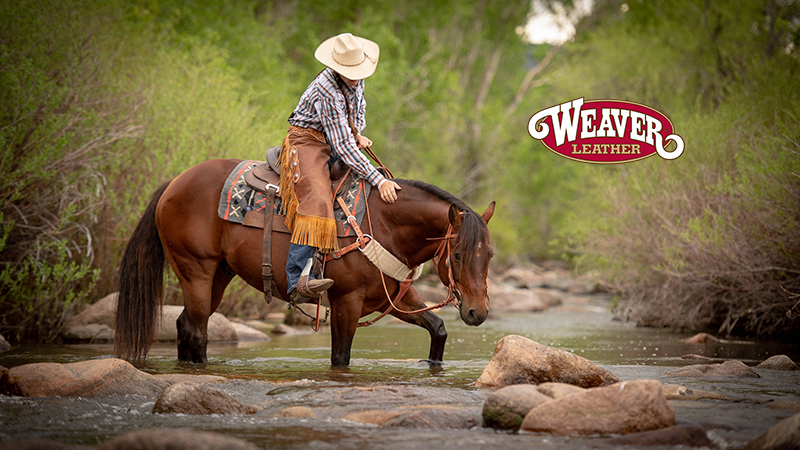 Weaver Leather synergy saddle pad