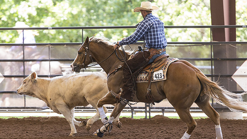 ben baldus riding seven s woodrow