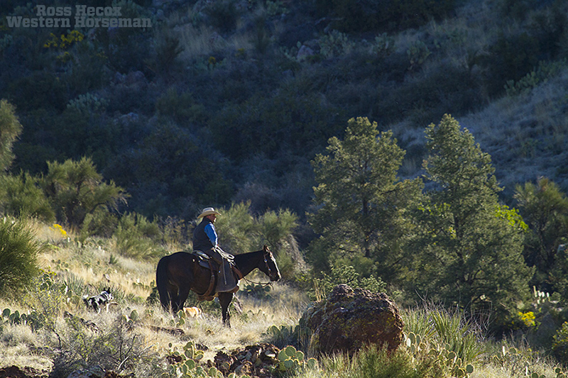 cowboy and horse in rocky canyon at the 7 Up Ranch in Arizona 