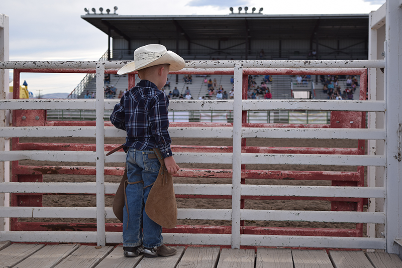 young cowboy standing behind bucking chute