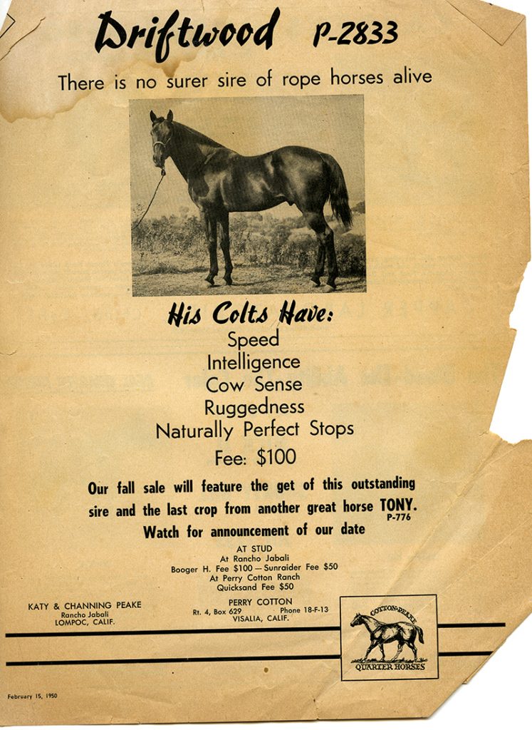 print ad for Driftwood