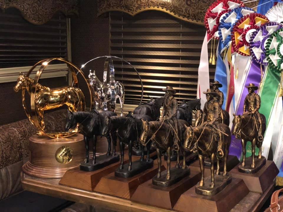 Catelyn Walker won eight of her 12 classes.