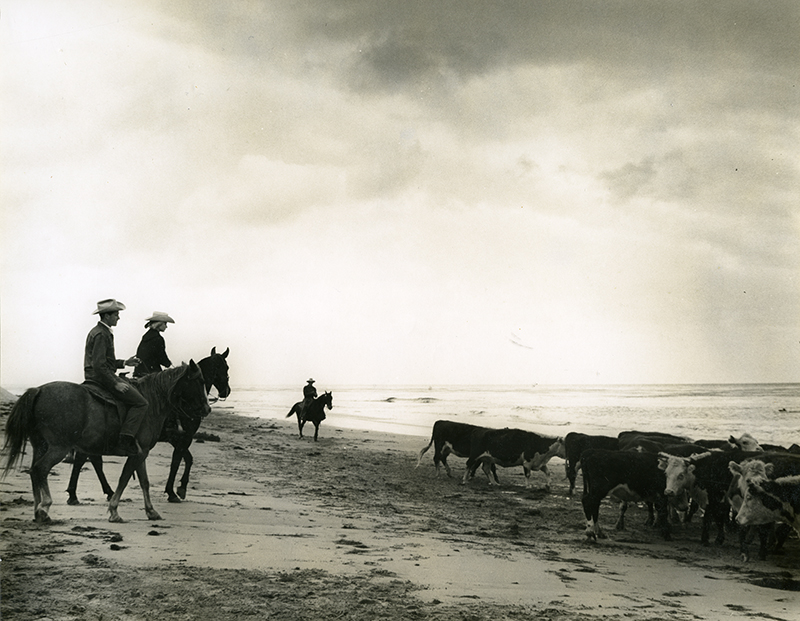 Audrey Hepburn and Mel Ferrer ride on Hollister Ranch with Driftwood.