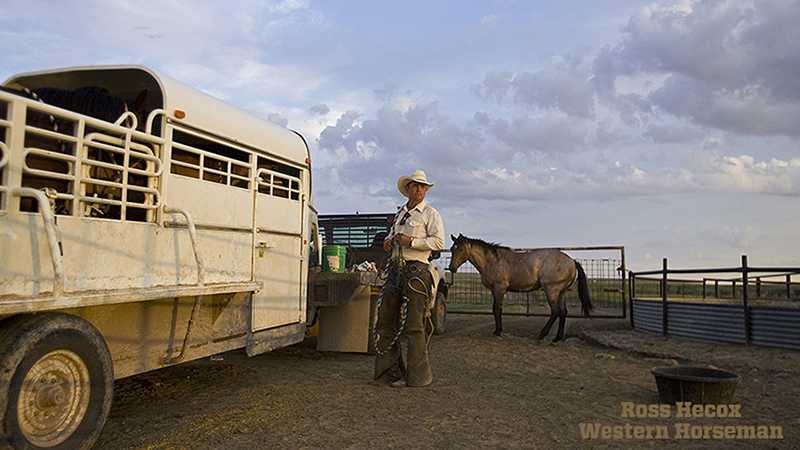 A cowboy, horse and stock trailer on the Hitch Ranch in the Oklahoma Panhandle