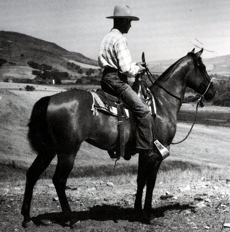 Rancho Jabali manager, Jim Carr on Driftwood, 1940s