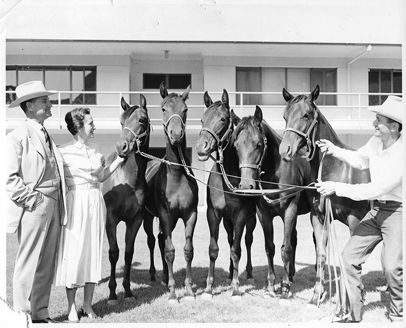 Channing and Katy Peake with broodmares at Cal Poly