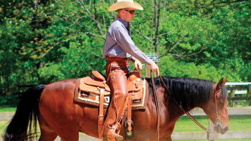 Sailor, a bay horse with complete anhidrosis