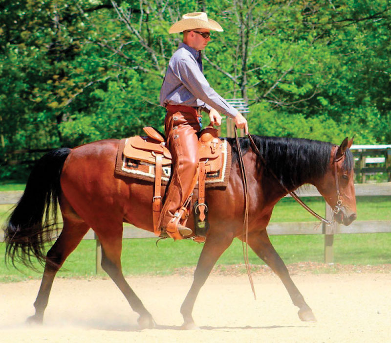 ranch rider riding bay horse named Sailor