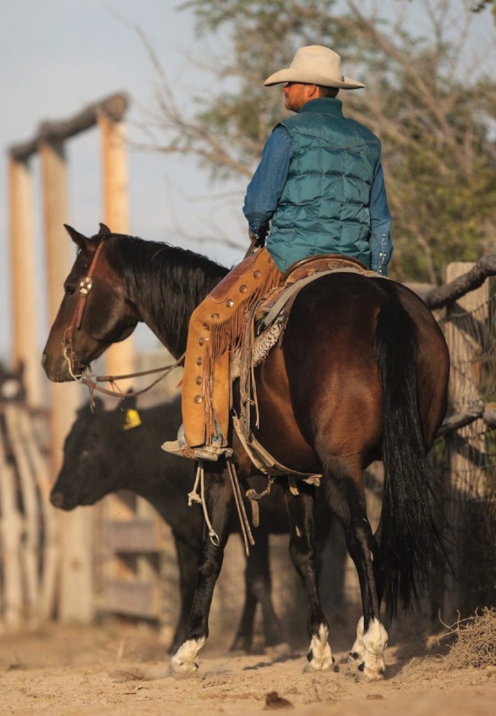 Andy Welch riding a bay horse