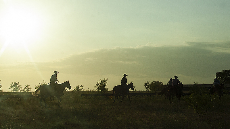 Beggs Ranch in Texas raises versatile ranch horses.