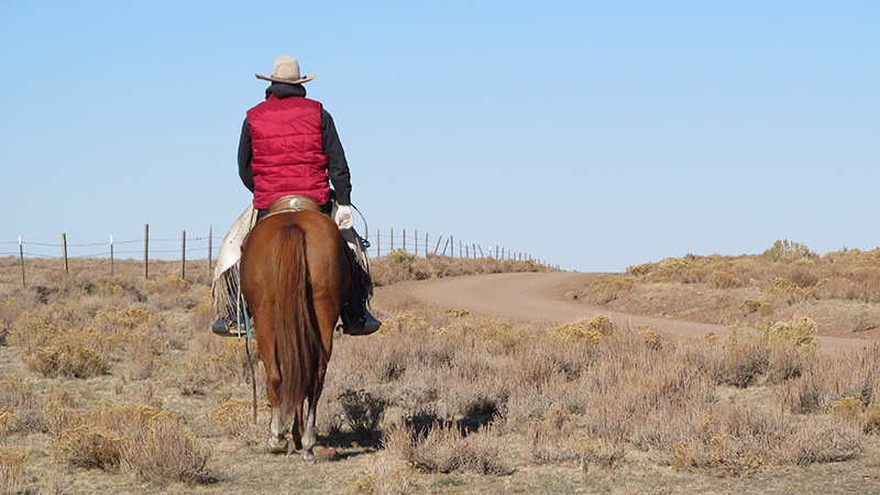 A cowboy rides a horse bundled up for fall works.