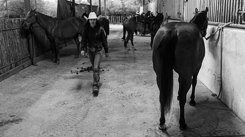 Cowgirl walking down barn aisle