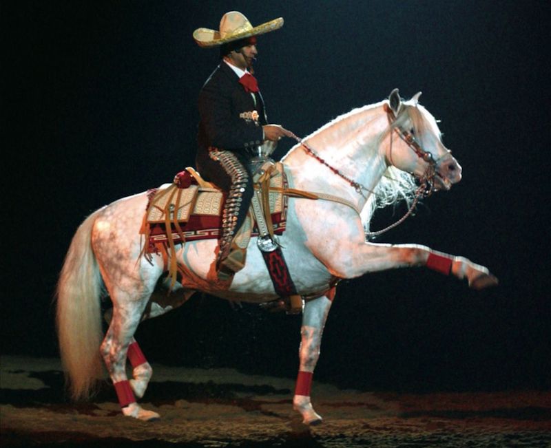 Jerry Diaz riding a grey charro horse