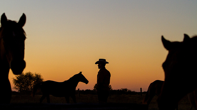 A silhouette of a cowboy at King Ranch