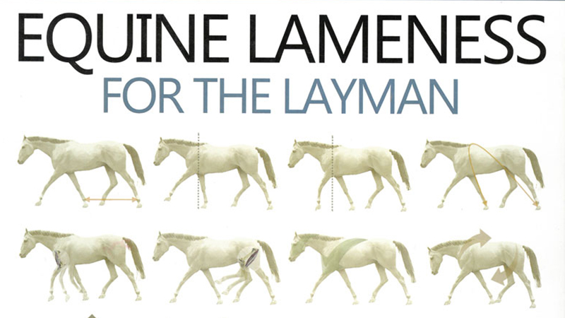 The cover of the book Equine Lameness for the Layman
