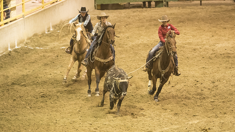 The first teams in the women’s division qualified for the WSRRA National Finals in 2013.