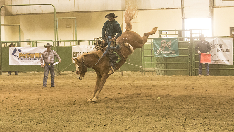 Canadian Aaron Mercer rides a ranch bronc at the WSRRA National Finals in 2016.